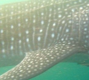 08dc86fc-12b5-478f-8385-274775a8630c