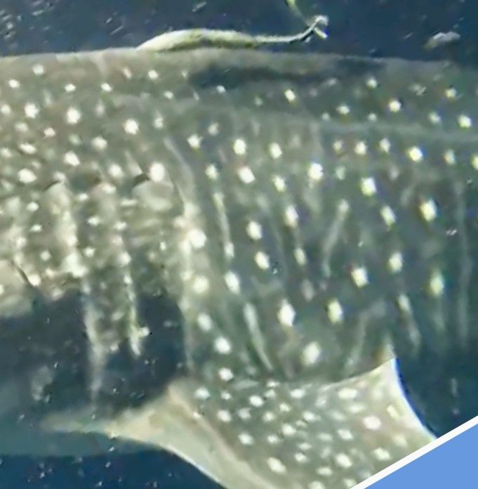 32dff4f4-36e7-4533-bc45-cd2dec77a791