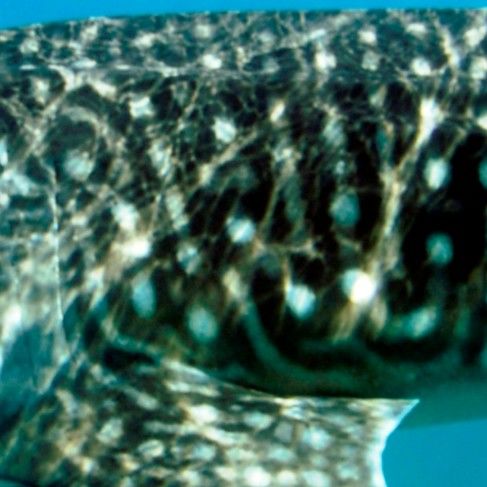 9ca46a87-f5b6-43d2-ba49-9c779046aa78