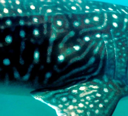 9ca46a87-f5b6-43d2-ba49-9c779046aa78