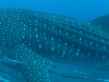 6dccbd5e-4c43-4f3e-8565-747140cdf19e