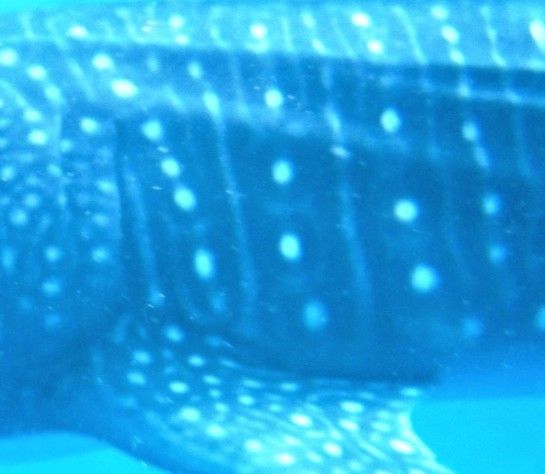 1583266a-d87a-43ae-9cdc-cd9c0b8a608f