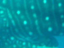 9db1ab97-34f9-4d64-a757-958321efbcc2