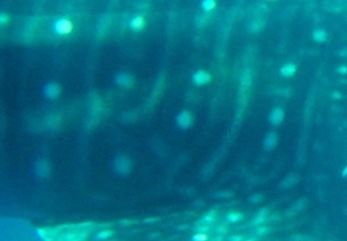 9db1ab97-34f9-4d64-a757-958321efbcc2