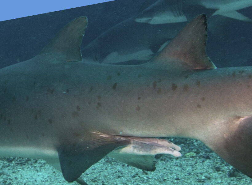 2e1e0d88-a7e6-4f9c-911a-359167d5c6fa