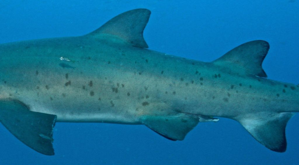 6ca36099-5854-456f-8787-b73ce5b552ab