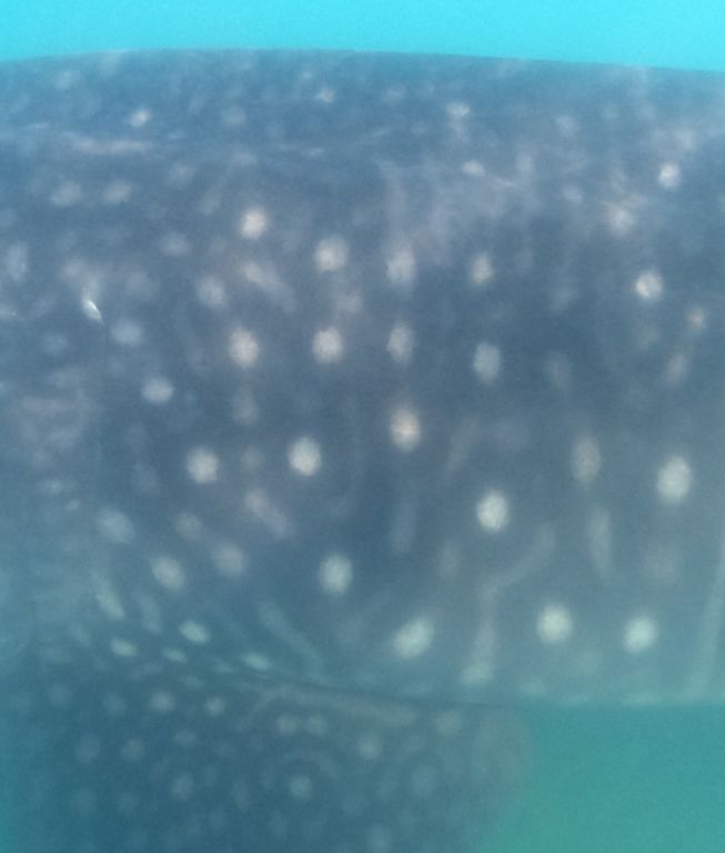 e909c2dd-12e2-4b5d-88f7-9e693dc25fdc