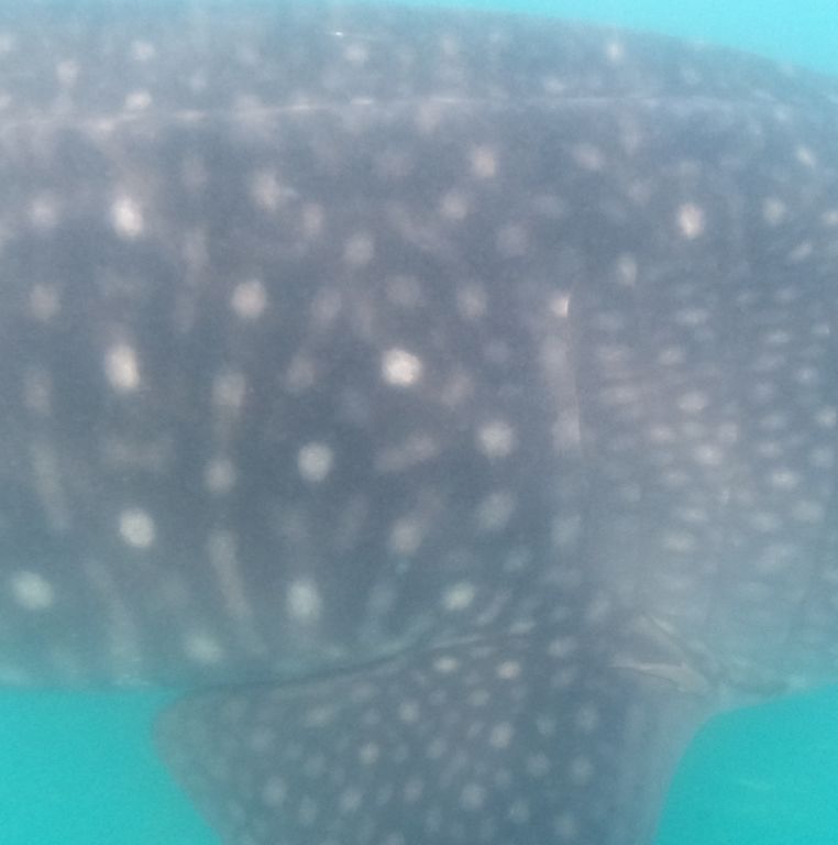 e909c2dd-12e2-4b5d-88f7-9e693dc25fdc