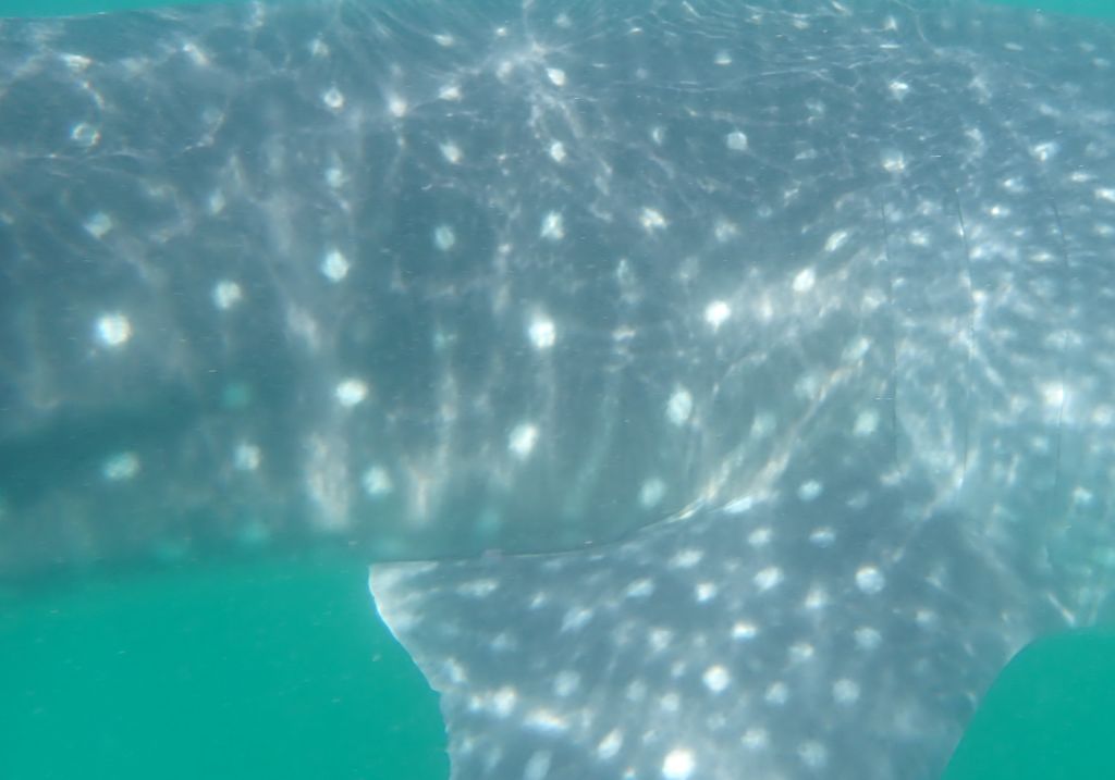 57c65923-73e0-4fb1-8c40-84686a8e3ea1