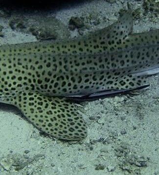 1247d3d5-0bdb-494b-9adf-8c4d36d425b1