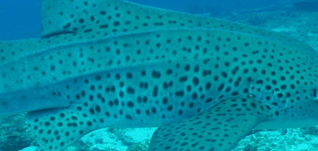 7c7d9bba-bc79-4879-a4dc-0e21813a2afb