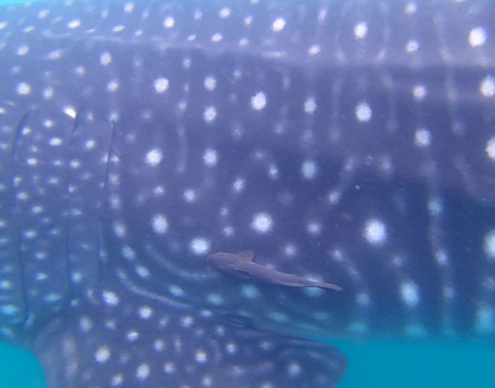 8410ae64-5b40-47ae-916f-a71f34236492