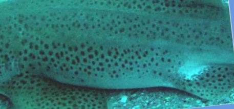 c2a1bbd1-4431-4b19-b511-0dfee1399901