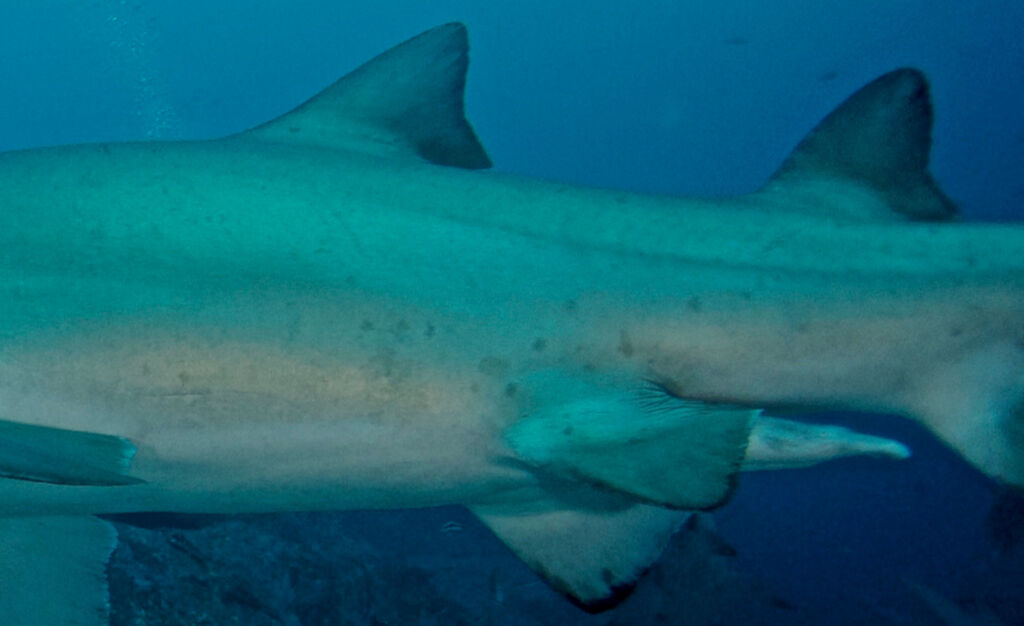 b3410681-2102-4288-99b2-a18b27840956