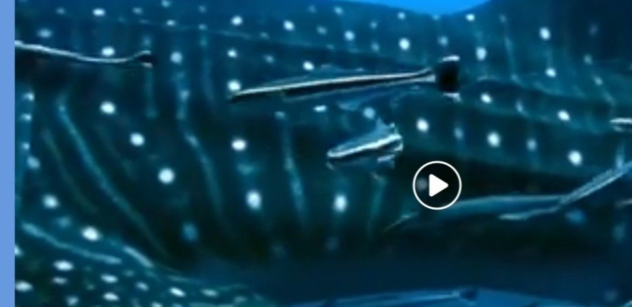 dc64d7cd-cdd0-4966-9105-843f9ba1de5d