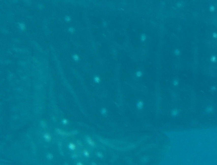 014f30fb-15dc-4730-b5aa-3ed92a85e544