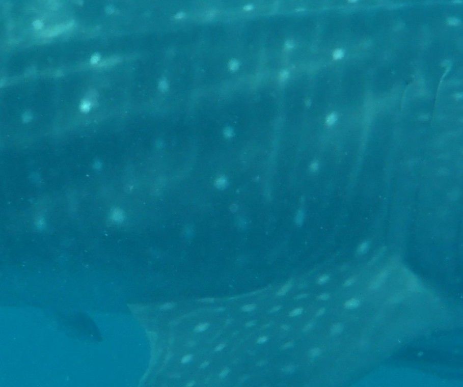 014f30fb-15dc-4730-b5aa-3ed92a85e544