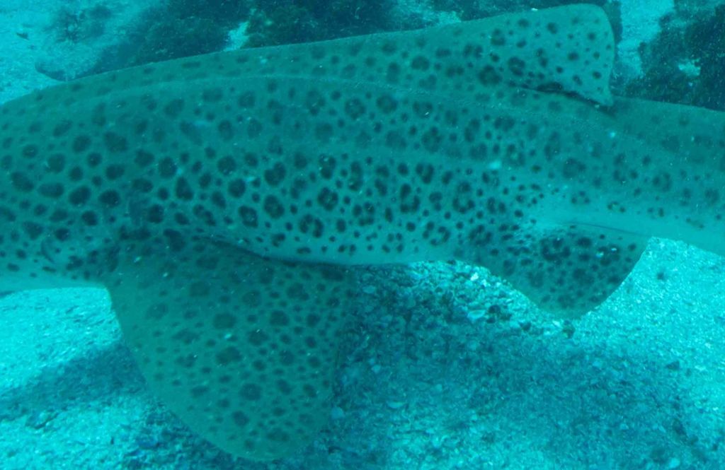 11f62a93-99a3-4254-b373-e55677bc372f