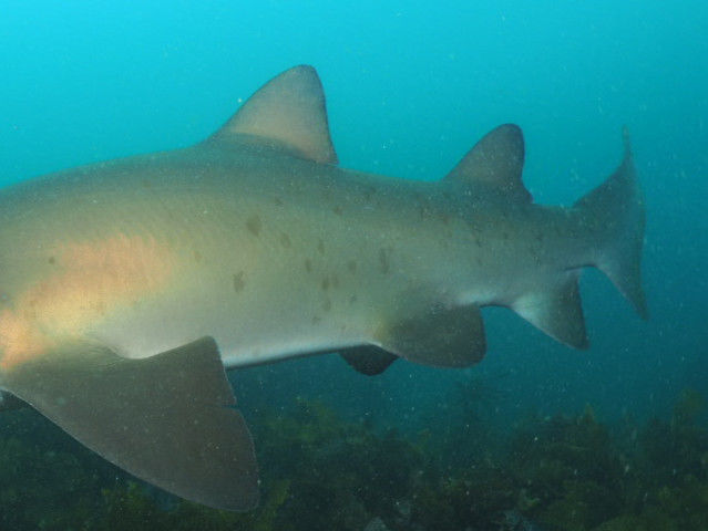 e9a895d2-b298-4fb9-97de-472acb93e6d0