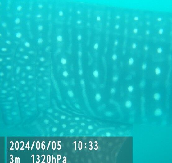 e9556ceb-57b6-4d0c-a9c6-9b6391a33863