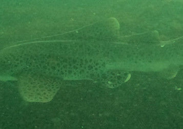 5c62f501-6f90-4467-8197-42c886d9c5a0