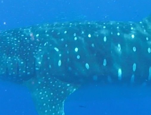 3a9f321e-7f03-49fd-a22f-a0fda404fcbf