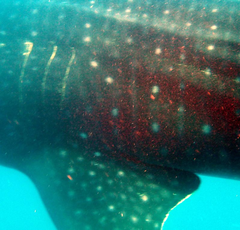 3d67ac46-07cf-490b-8182-8e7a30c375a0