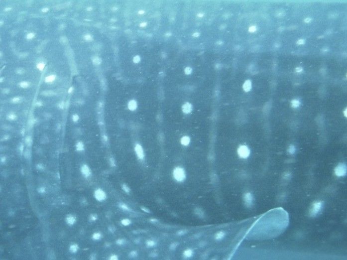 64ff96dc-9696-443d-b0b2-007ae6c34ea3