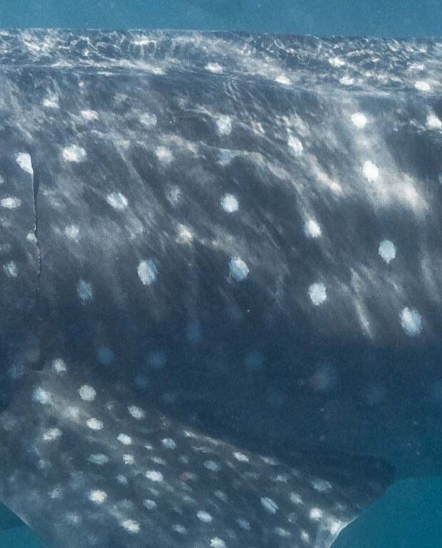 06f3d750-9243-4c33-85d6-e7a390c9c5c2