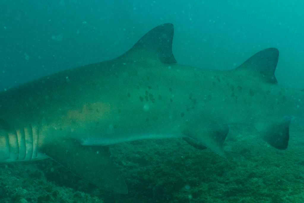 c1dcd73a-a8cd-495e-b5a2-40e0cbbc9307