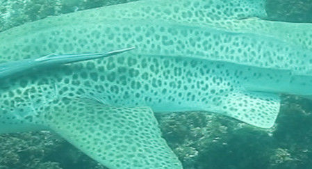 57d96075-b132-4860-a92f-5491cbb1c390