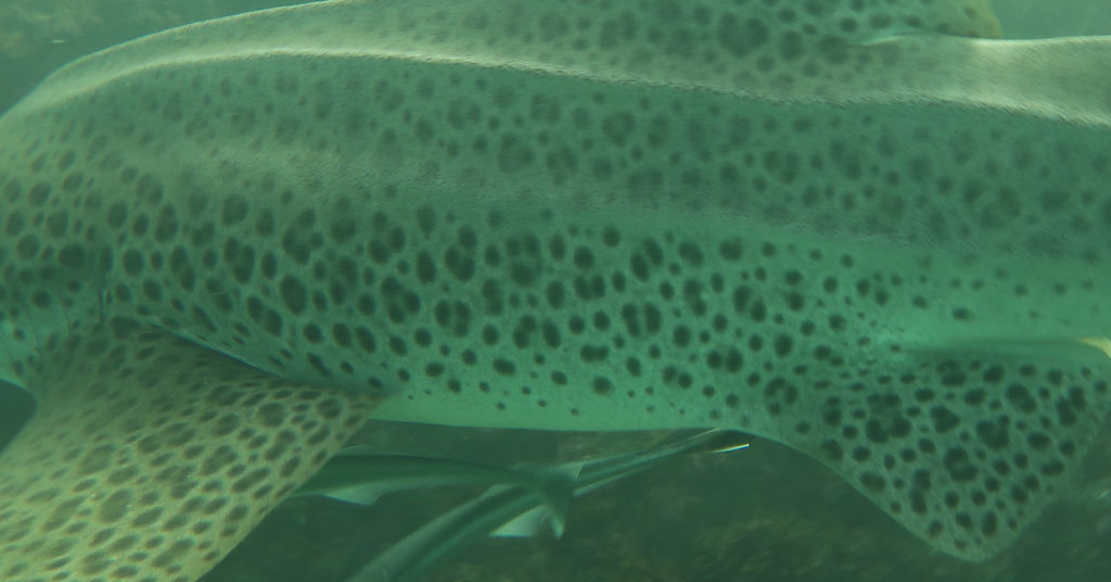 1f9b74a8-d0f8-42f2-a915-9fca84344d51