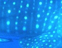 372ed779-03fe-44c1-95ec-a9266f4fb523