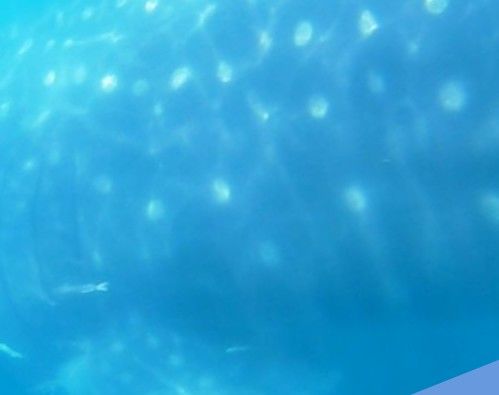 861ce6f5-85a5-415b-9559-0fd799c74660