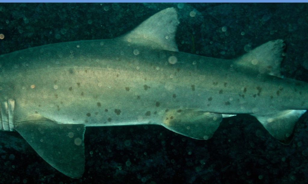 7ecc17cb-1e84-4f56-a871-23bf9b466afa