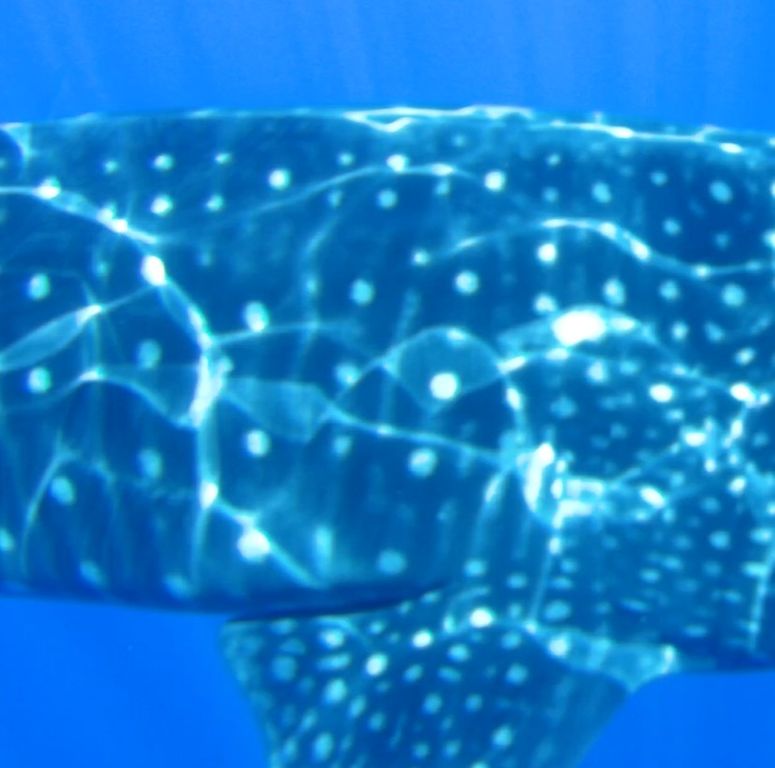 22b1d92f-d93a-41e2-8e70-0df732351943