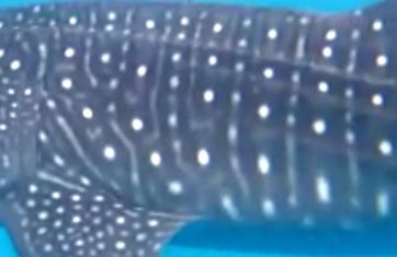 db7babf2-b17a-46bc-9496-0d0627fb7e96