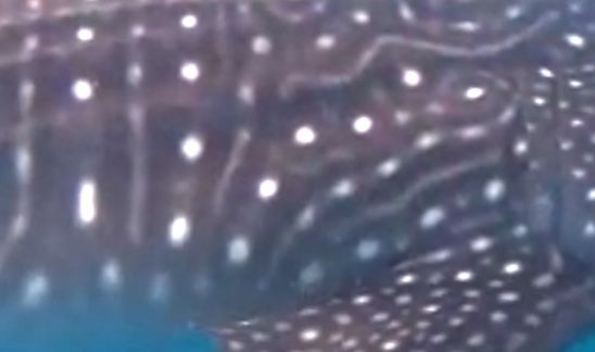 db7babf2-b17a-46bc-9496-0d0627fb7e96