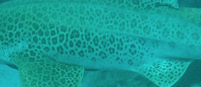 fc7b90ce-af53-49f5-ae88-133f5fc0a6a8