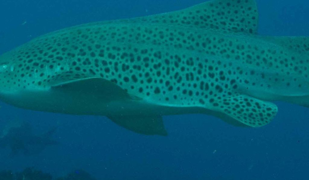 6d4c28fc-1a1f-4129-9ace-9df3c0a01b21