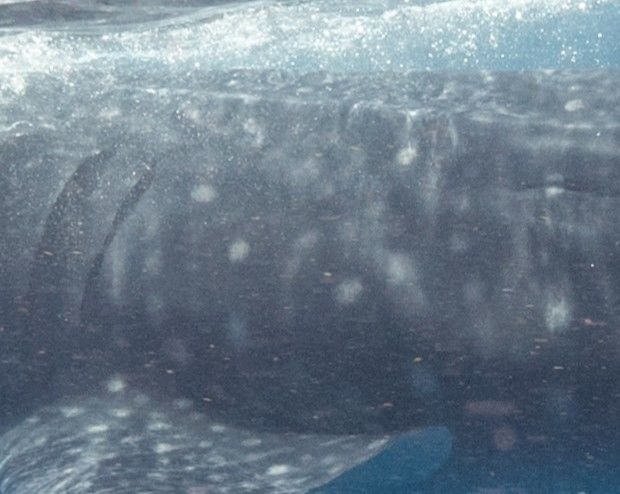 96debe0a-5c77-47a0-a574-5e1675f9b015