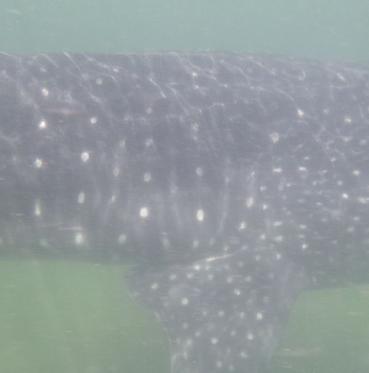 2e6cd94e-191c-4c5c-821b-55804df18e6b