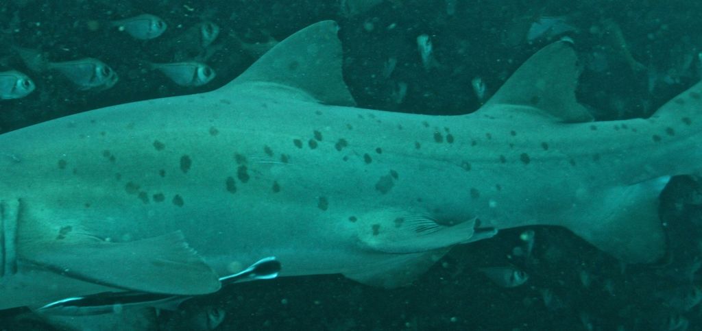 7f2c4166-d509-43ca-ae99-2026f4b1f794