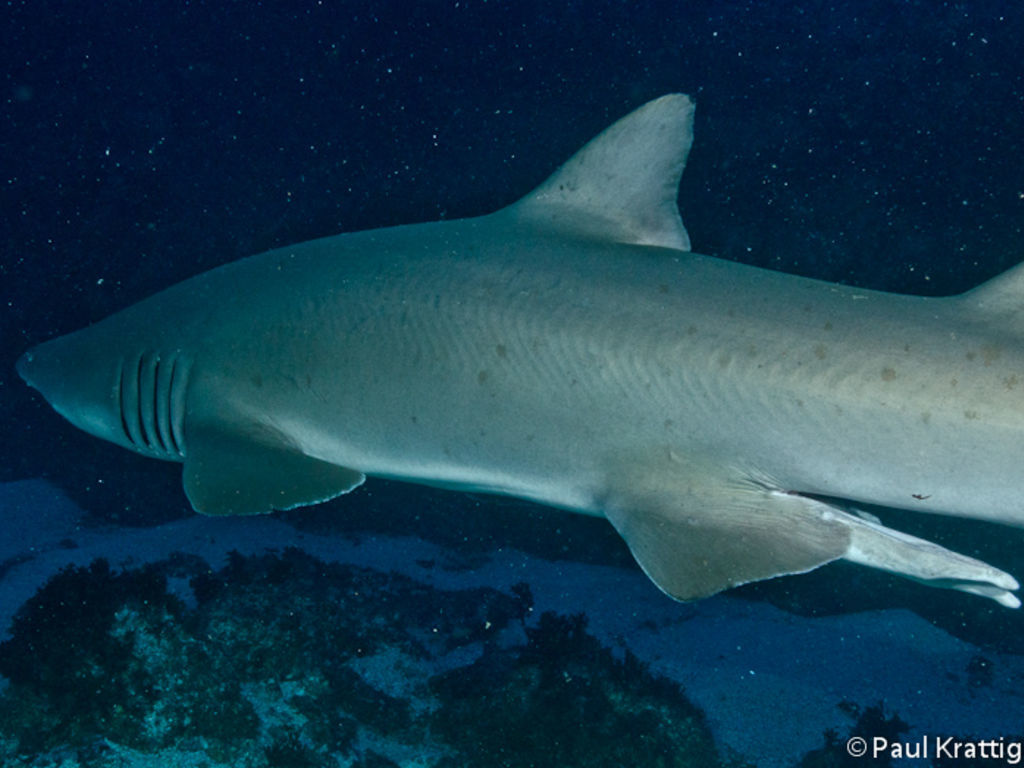 86880601-1b61-4bb7-a0bb-b859ab930a29