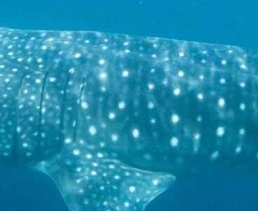 5887af18-6d34-449d-b540-811fc36586b9