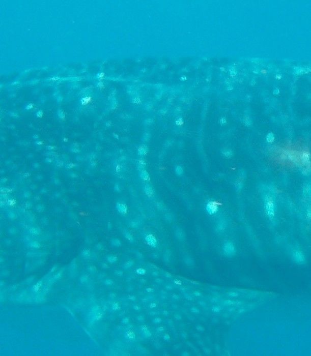 c363fe16-c7b4-4438-818d-21503649fbb0