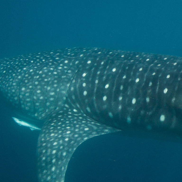 17405f23-0cd0-4857-9681-7ec9a682888c