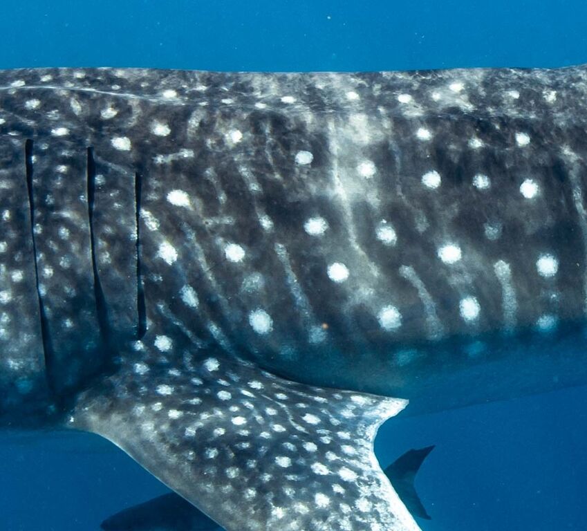 d045f82a-aec9-479f-8ede-27877d3595ce