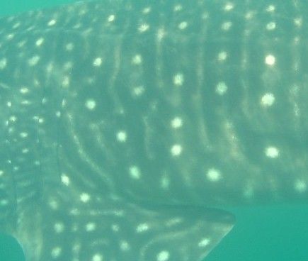 1aba3b82-b298-45b0-bf98-a54330e3c643