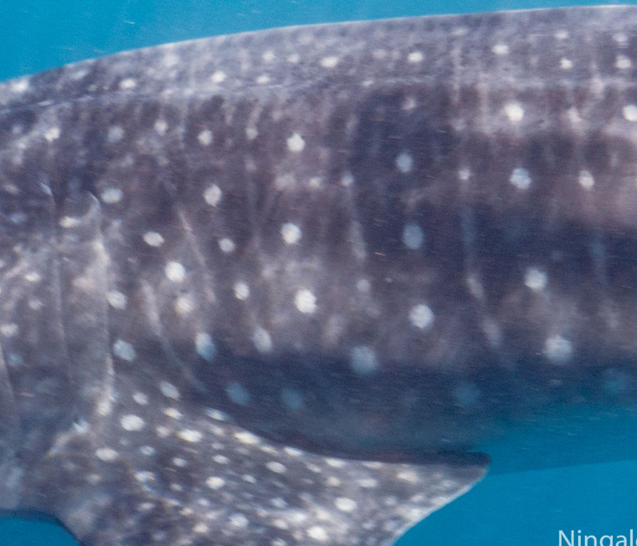 0c131ce6-debe-4ea0-a95b-0b255f37855a